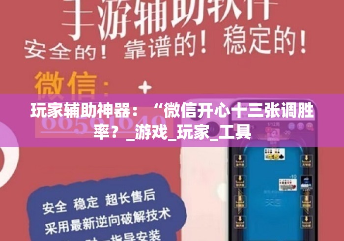 盘点十三水17张是不是有作弊!分享用挂教程