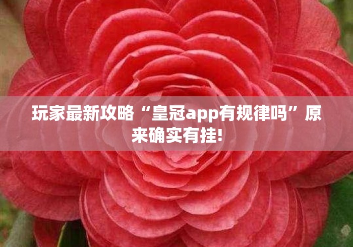 房卡必备教程“微信建房炸 金花房卡“房卡获取方式 