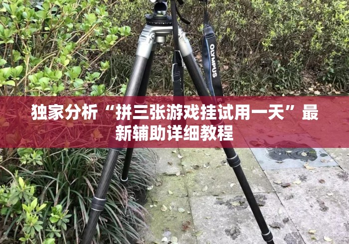 玩家必备教程“
毛豆互娱大厅房卡链接“房卡怎么买教程