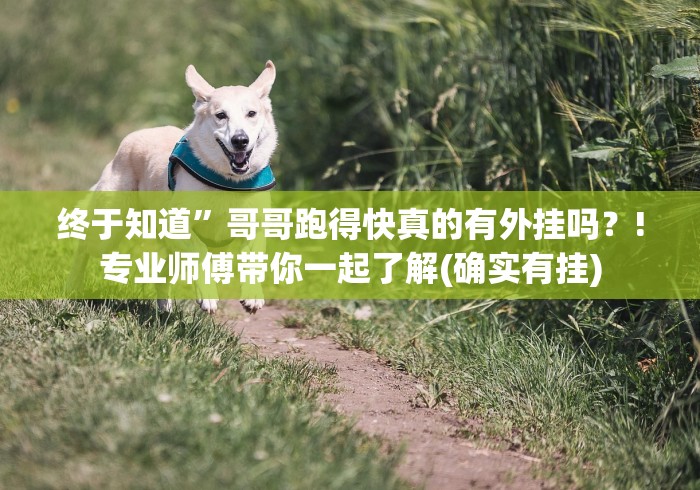 终于知道”哥哥跑得快真的有外挂吗？!专业师傅带你一起了解(确实有挂)