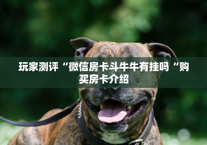 玩家测评“微信房卡斗牛牛有挂吗“购买房卡介绍