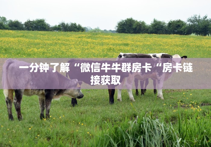 一分钟了解“
龙王大厅牛牛金花“购买房卡介绍