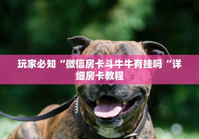 玩家必备教程“
九九大厅房卡链接“详细房卡使用教程