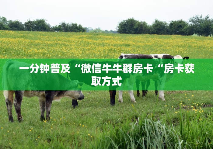 2026房卡教程“
新下游牛牛金花“详细房卡教