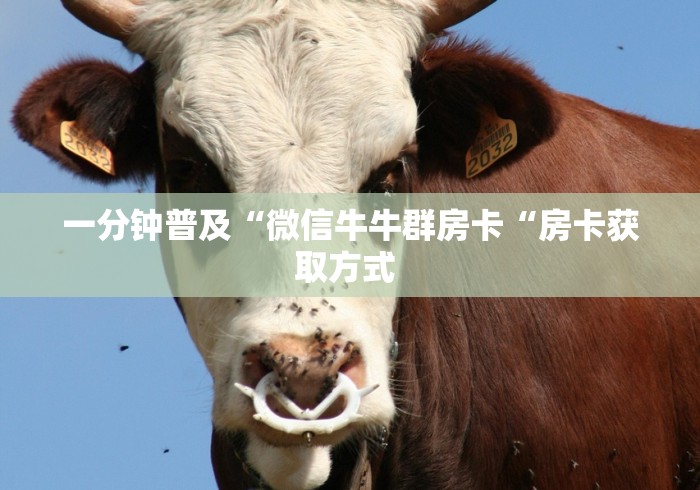 一分钟普及“微信牛牛群房卡“房卡获取方式 