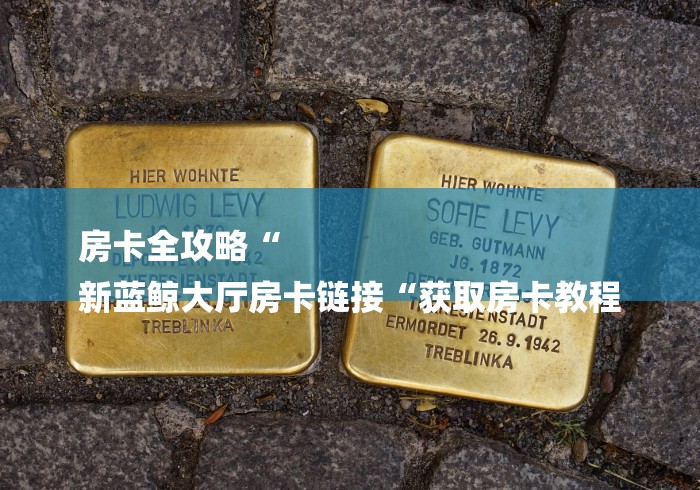房卡全攻略“
新蓝鲸大厅房卡链接“获取房卡教程 房卡全攻略“
新蓝鲸大厅房卡链接“获取房卡教程