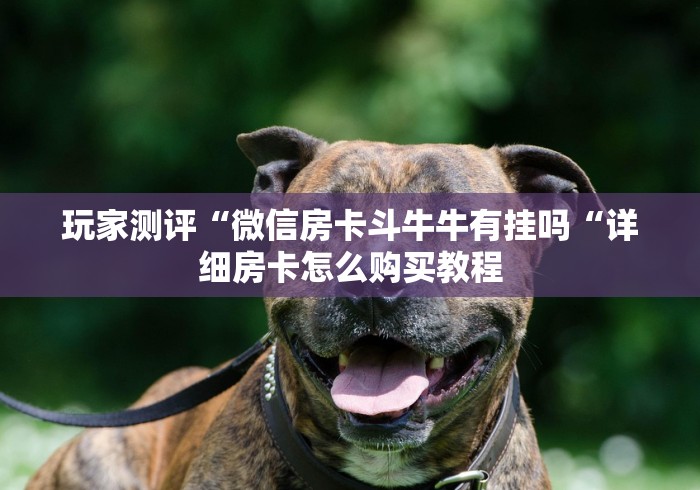 玩家必备教程“
东游大厅房卡链接
“获取房卡教程