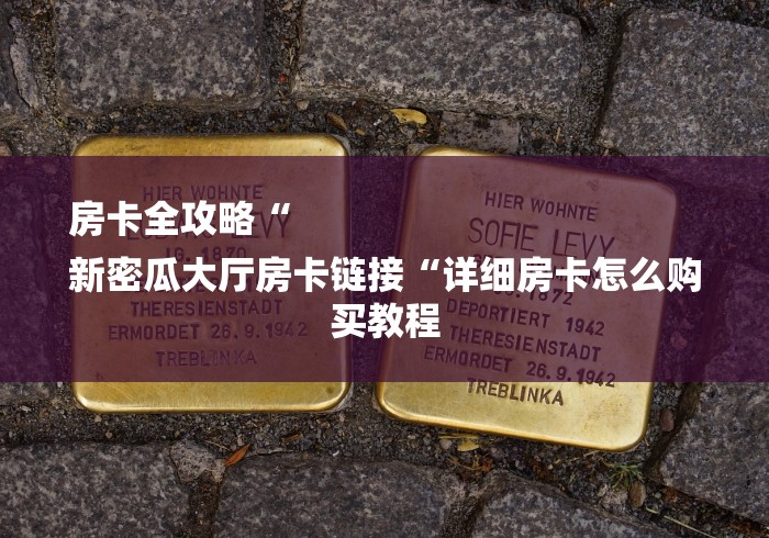 秒懂教程“卡农牛牛金花
“详细房卡怎么购买教程 秒懂教程“卡农牛牛金花
“详细房卡怎么购买教程