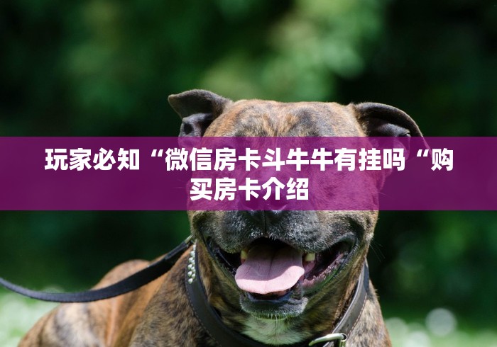 玩家必知“微信房卡斗牛牛有挂吗“购买房卡介绍