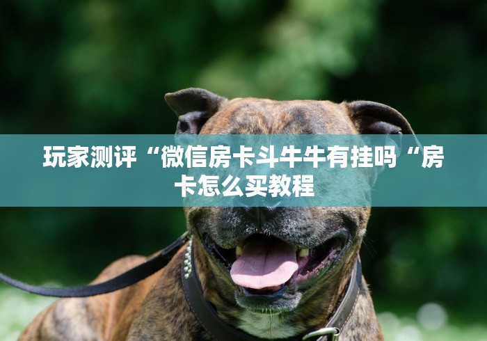玩家测评“微信房卡斗牛牛有挂吗“房卡怎么买教程