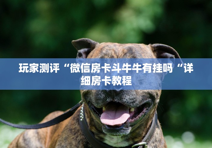 玩家测评“微信房卡斗牛牛有挂吗“详细房卡教程