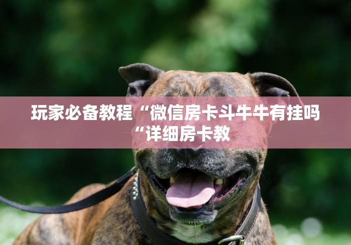 玩家必备教程“微信房卡斗牛牛有挂吗“详细房卡教