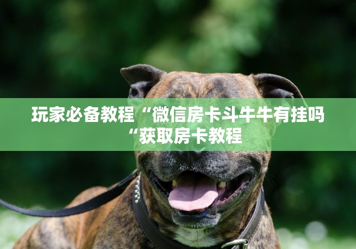 玩家必备教程“微信房卡斗牛牛有挂吗“获取房卡教程