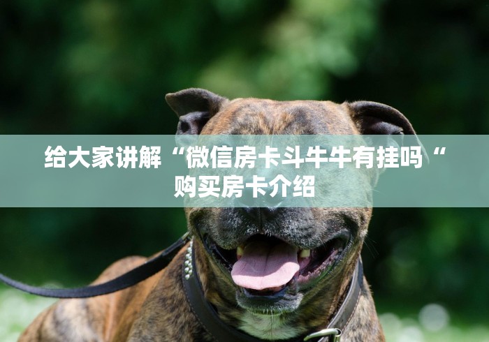 给大家讲解“微信房卡斗牛牛有挂吗“购买房卡介绍
