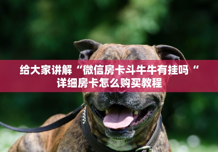 房卡必备教程“
新圣游牛牛金花“轻松获取房卡全渠道 房卡必备教程“
新圣游牛牛金花“轻松获取房卡全渠道