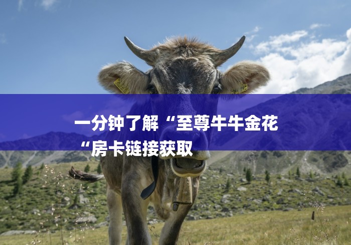 一分钟了解“至尊牛牛金花
“房卡链接获取