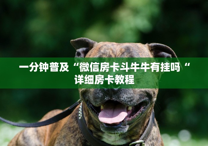 一分钟普及“微信房卡斗牛牛有挂吗“详细房卡教程