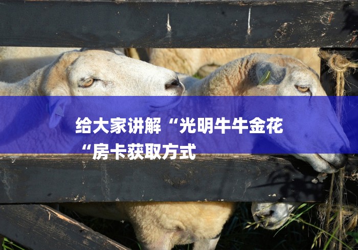 给大家讲解“光明牛牛金花
“房卡获取方式 