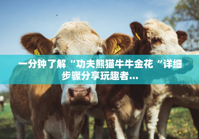 一分钟了解“功夫熊猫牛牛金花“详细步骤分享玩趣者...