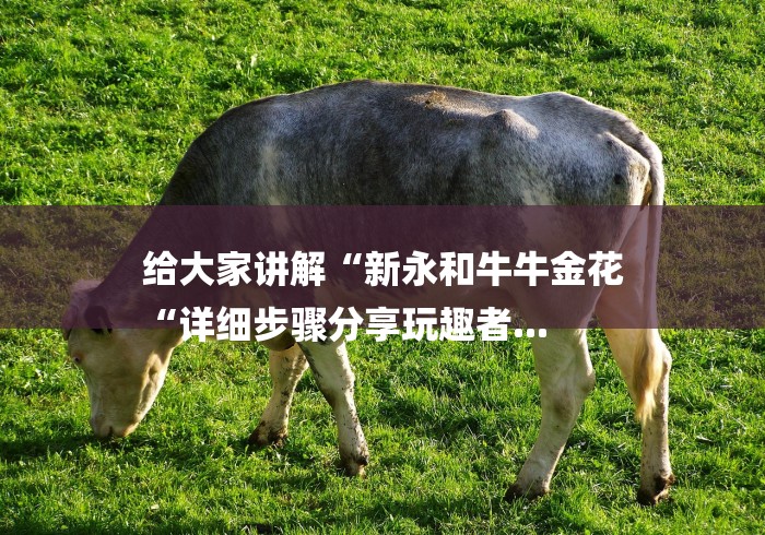 给大家讲解“新永和牛牛金花
“详细步骤分享玩趣者... 给大家讲解“新永和牛牛金花
“详细步骤分享玩趣者...