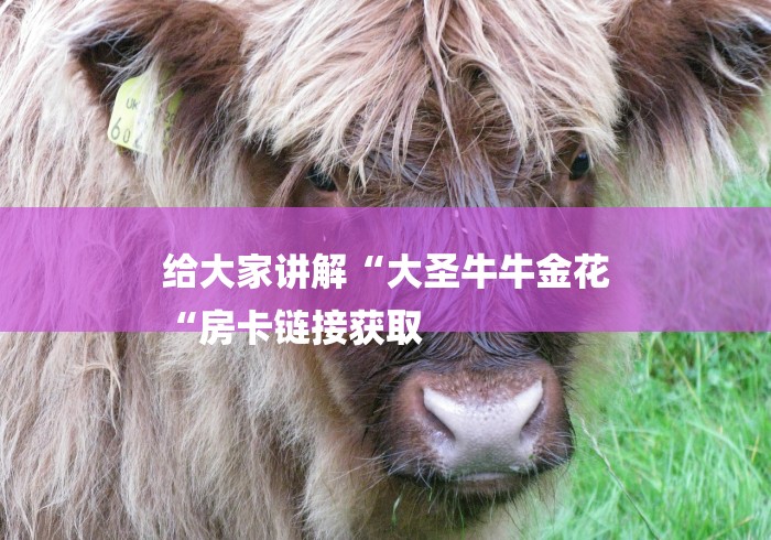 给大家讲解“大圣牛牛金花
“房卡链接获取