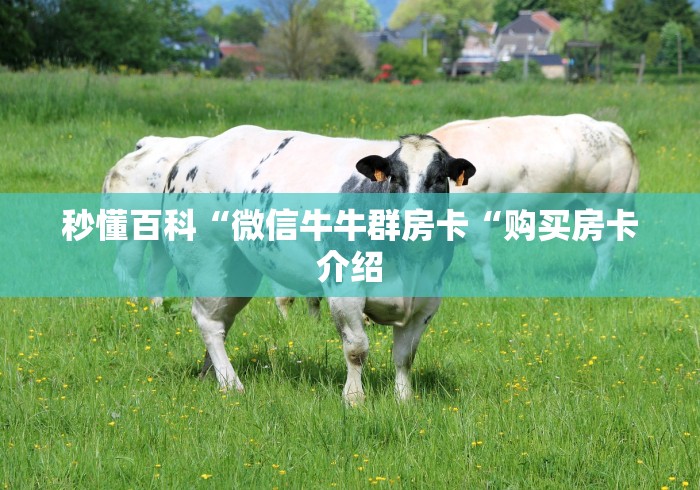 秒懂百科“微信牛牛群房卡“购买房卡介绍