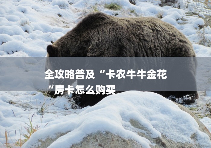 房卡必备教程“新九神牛牛金花“获取房卡教程