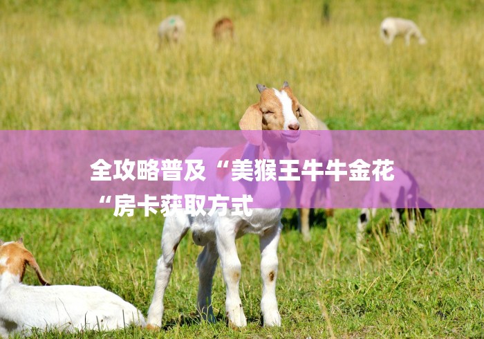 全攻略普及“美猴王牛牛金花
“房卡获取方式