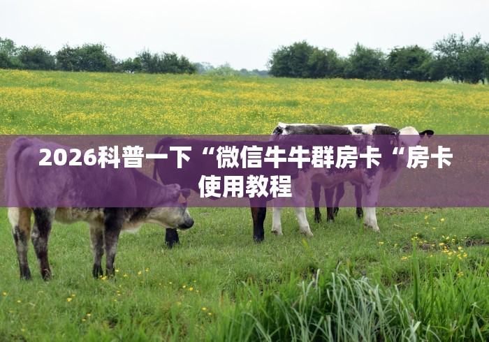 2026科普一下“微信牛牛群房卡“房卡使用教程