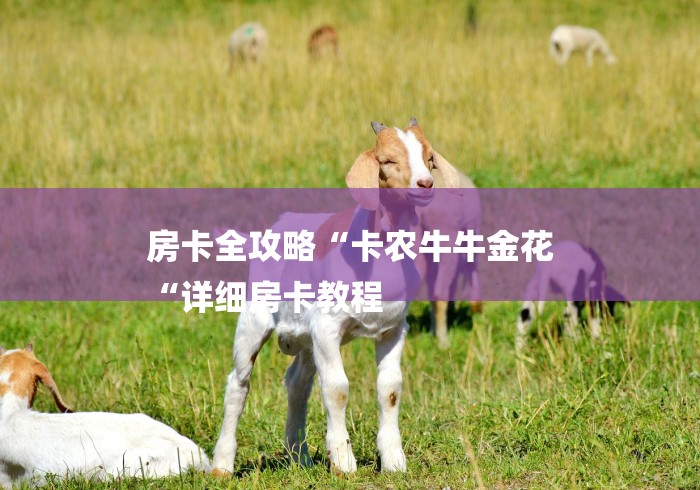 房卡全攻略“卡农牛牛金花
“详细房卡教程