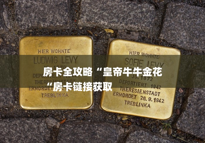 全攻略普及“微信牛牛房卡游戏代理“房卡怎么买教程