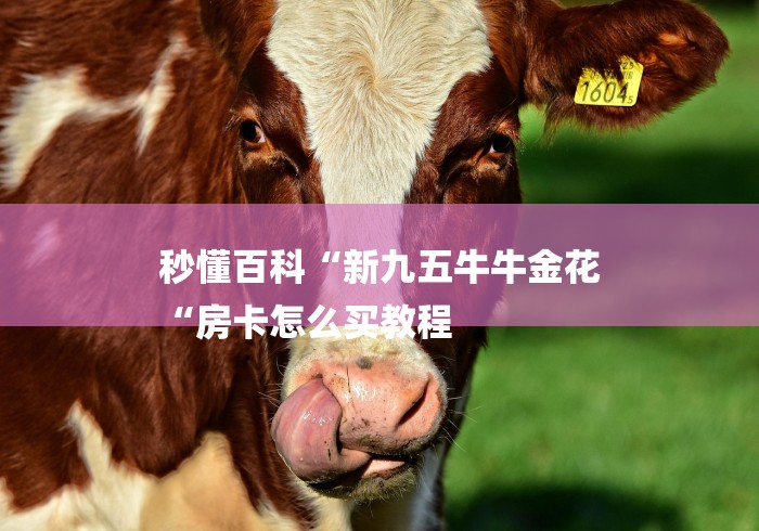 秒懂百科“新九五牛牛金花
“房卡怎么买教程 秒懂百科“新九五牛牛金花
“房卡怎么买教程