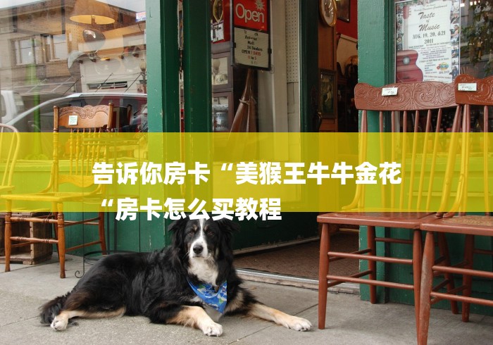 秒懂教程“至尊牛牛金花
“房卡获取方式