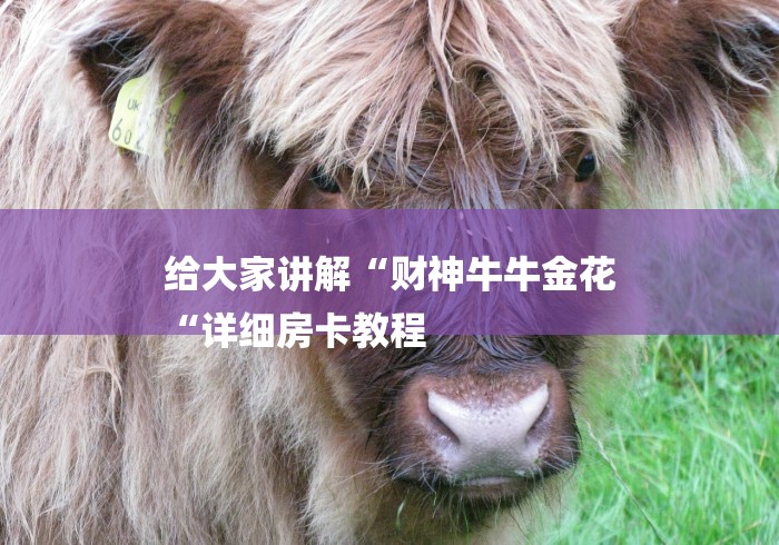 给大家讲解“财神牛牛金花
“详细房卡教程 给大家讲解“财神牛牛金花
“详细房卡教程