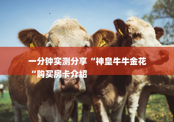 秒懂百科“
新上游牛牛金花“获取房卡教程