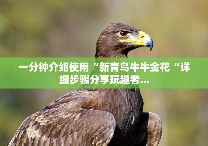 玩家必知“新九神牛牛金花“房卡获取方式