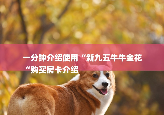 秒懂百科“炸 金花房卡链接怎么买“购买房卡介绍