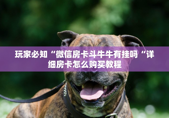 全攻略普及“官方正版牛牛金花“房卡怎么买教程