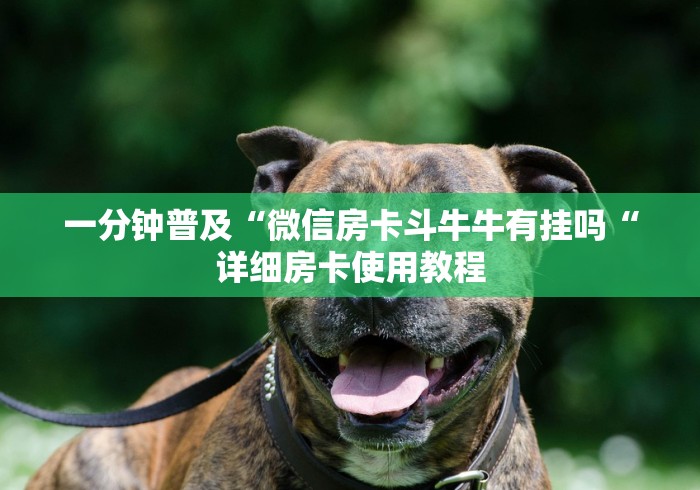 房卡必备教程“神皇牛牛金花
“房卡怎么买教程 房卡必备教程“神皇牛牛金花
“房卡怎么买教程