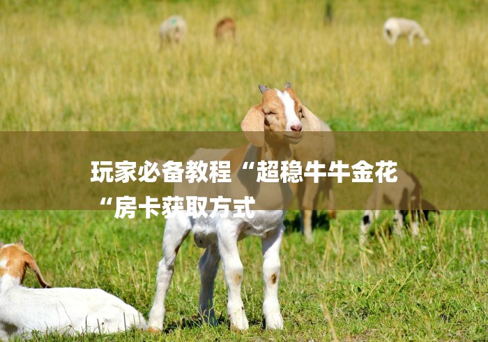 玩家必备教程“超稳牛牛金花
“房卡获取方式 