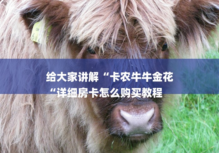 给大家讲解“卡农牛牛金花
“详细房卡怎么购买教程