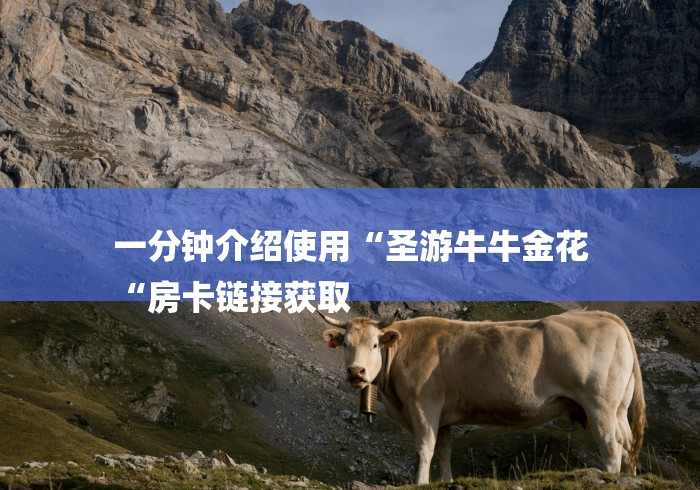 一分钟介绍使用“圣游牛牛金花
“房卡链接获取