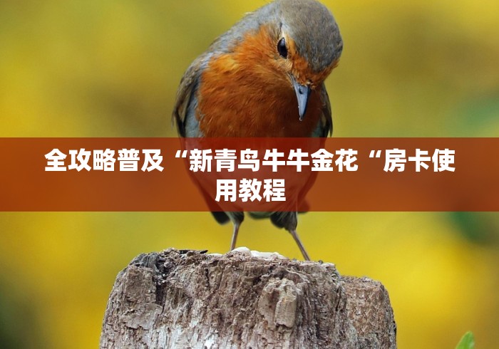 全攻略普及“新青鸟牛牛金花“房卡使用教程 全攻略普及“新青鸟牛牛金花“房卡使用教程