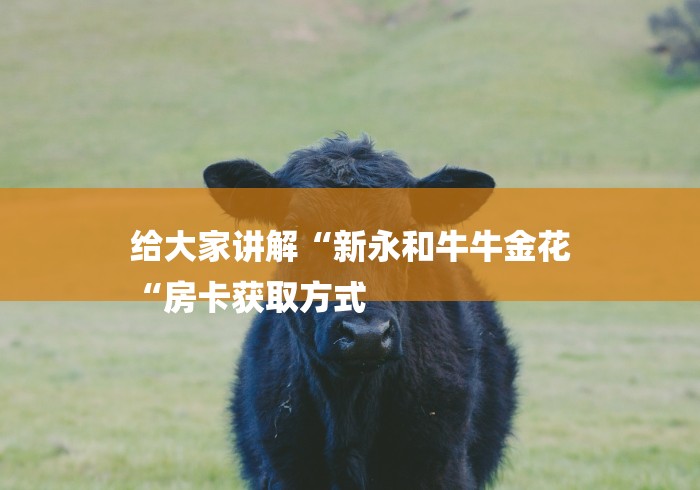 2026房卡必备“大圣牛牛金花
“获取房卡教程