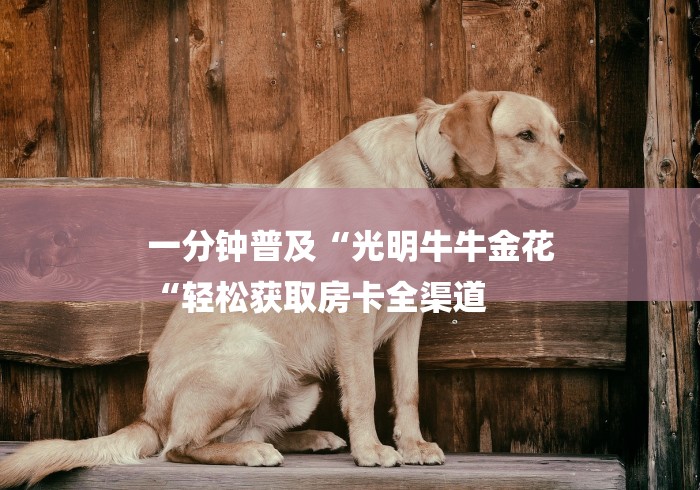 一分钟普及“光明牛牛金花
“轻松获取房卡全渠道