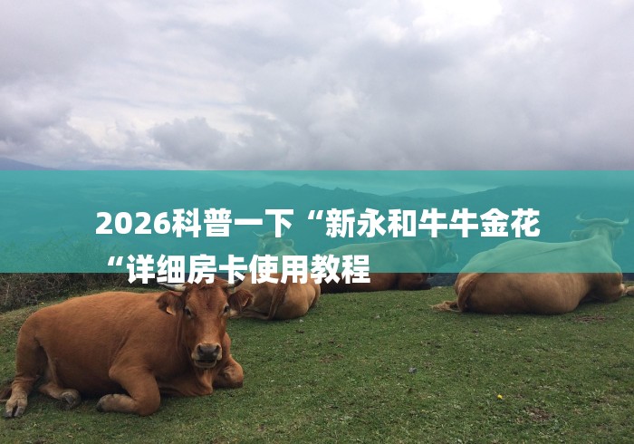 2026科普一下“新永和牛牛金花
“详细房卡使用教程