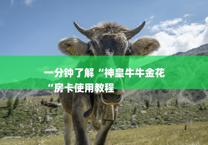 一分钟了解“神皇牛牛金花
“房卡使用教程