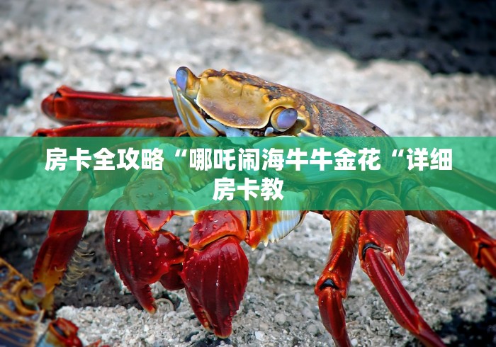 玩家测评“新荣耀牛牛金花“购买房卡介绍