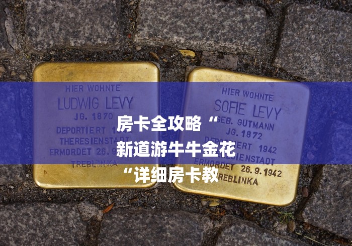 房卡全攻略“
新道游牛牛金花
“详细房卡教 房卡全攻略“
新道游牛牛金花
“详细房卡教