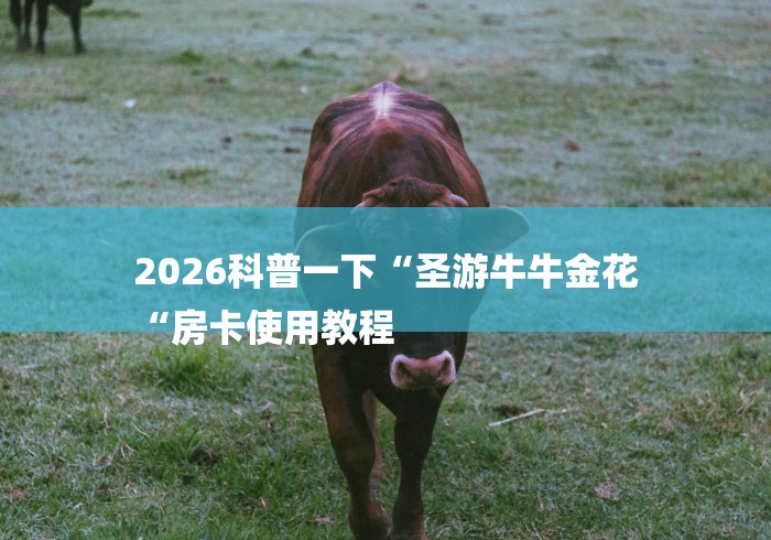 2026科普一下“圣游牛牛金花
“房卡使用教程 2026科普一下“圣游牛牛金花
“房卡使用教程